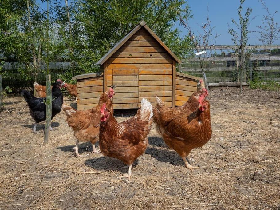 Puck'S Retreat Bed & Breakfast Tredington Екстер'єр фото